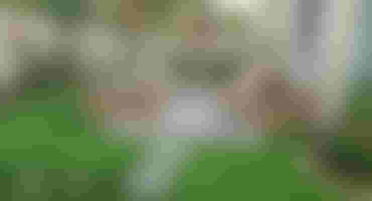 تصميم حدائق منزلية مستدامة في دبي