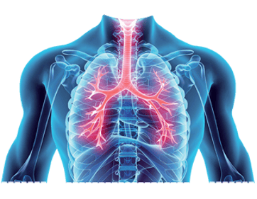 Thoracic Surgery