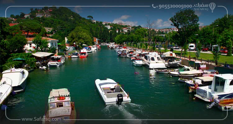 Goksu River