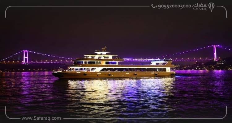 Bosphorus Cruise tour