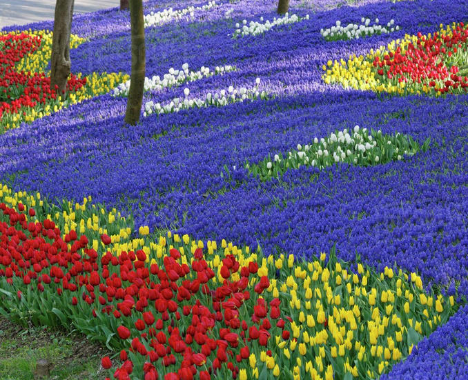 Yıldız Park in Istanbul
