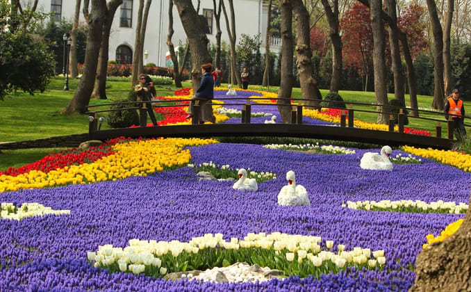 Emirgan Park in Istanbul