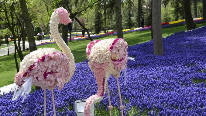 Emirgân Korusu Park location