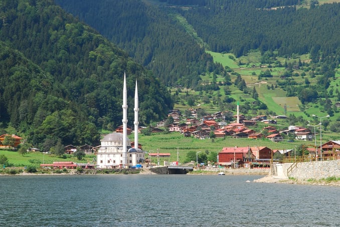 Grants to Increase Afforestation in Trabzon