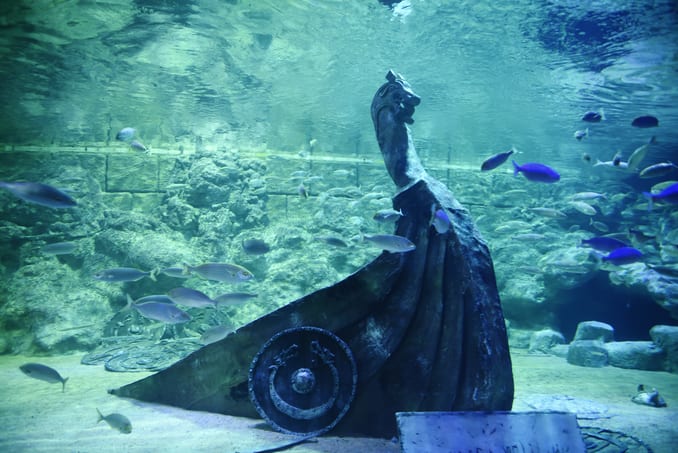 فياسي اسطنبول