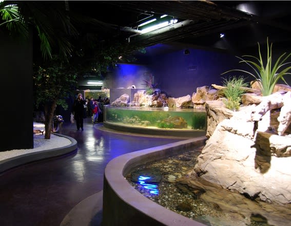 How to Get to Turkuazoo Aquarium?