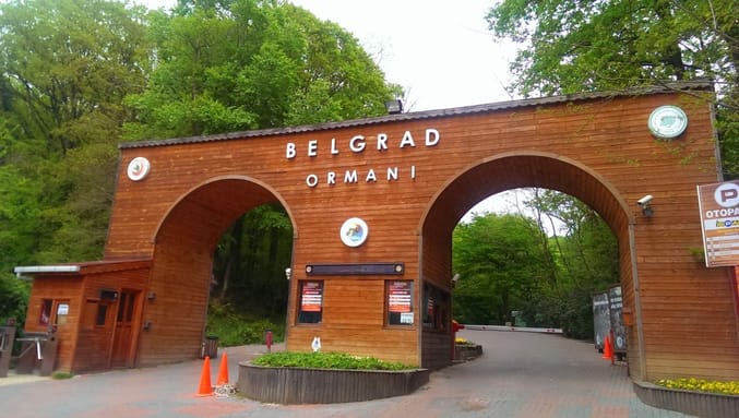 غابات بلغراد