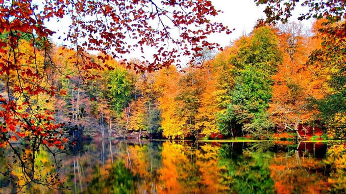 حديقة يدي غولر في بولو