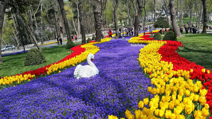 حديقة اميرجان كورسو