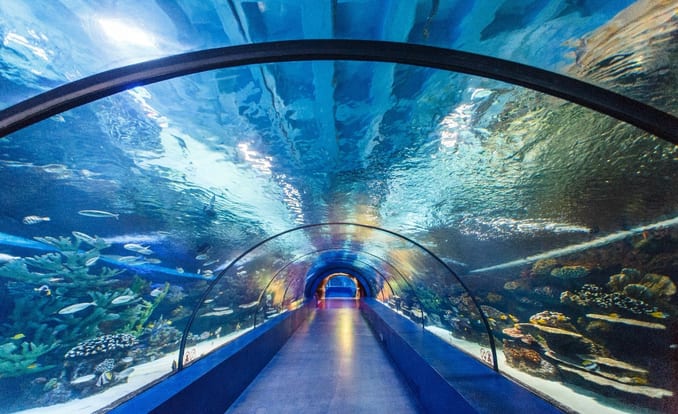 Antalya Aquarium