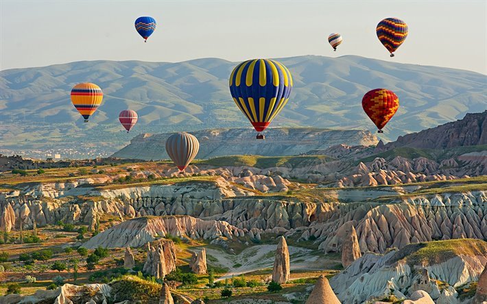 Turkey balloon outlet