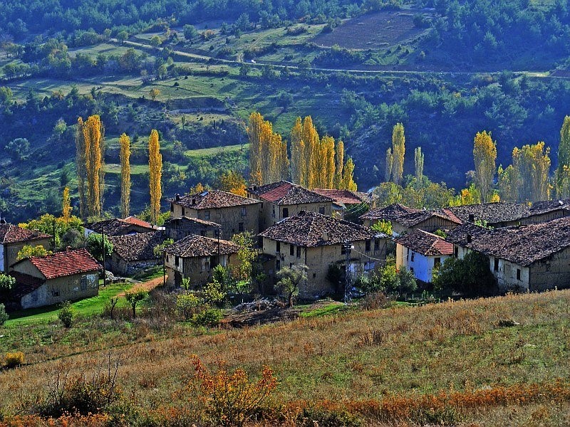 sogut