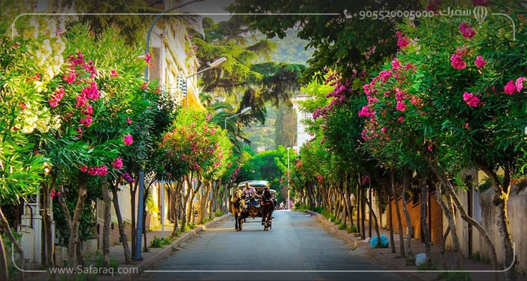 île des princesses à Istanbul