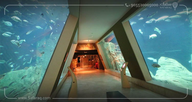 Istanbul Aquarium– Florya