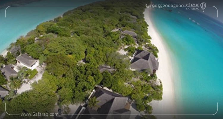 الشواطئ المضيئة جزر المالديف ليلا