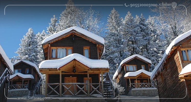 زيغانا في الشتاء - تركيا