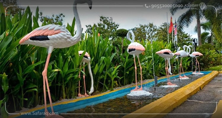 Birds' Paradise and Botanic Park Darica - Bayramoglu