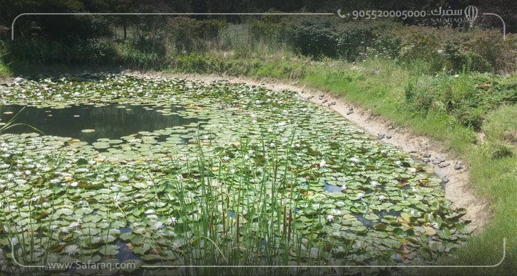 حديقة كاراجا