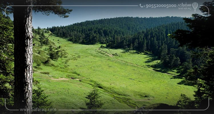 Safaraq Tourism Tours to Sogut