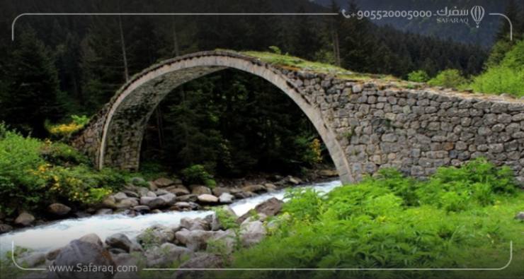 The Magnificent Palovit Waterfall in Rize