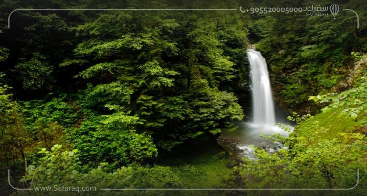 قلعة زيل كالي