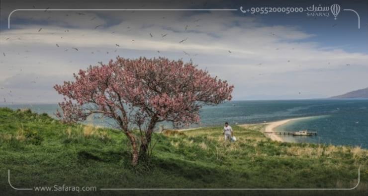 مدينة فان تركيا