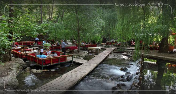 Programme touristique de 6 jours à Antalya en Turquie