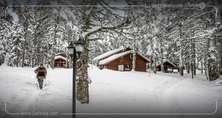 Qu'est-ce qui distingue les cottages à Bursa ?