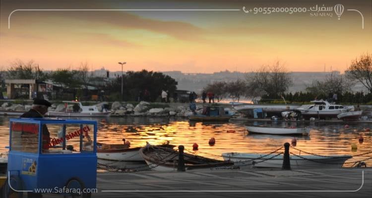  ريف منطقة سيليفري