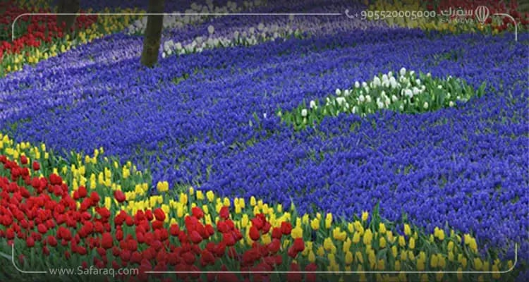 Yıldız Park  حديقة يلدز بارك