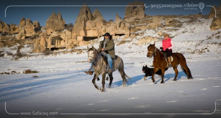Go Horseback Riding in the Snow