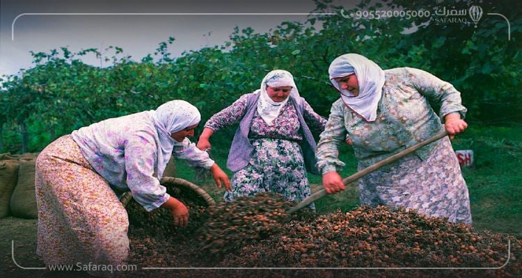 Les régions les plus populaires de la campagne turque