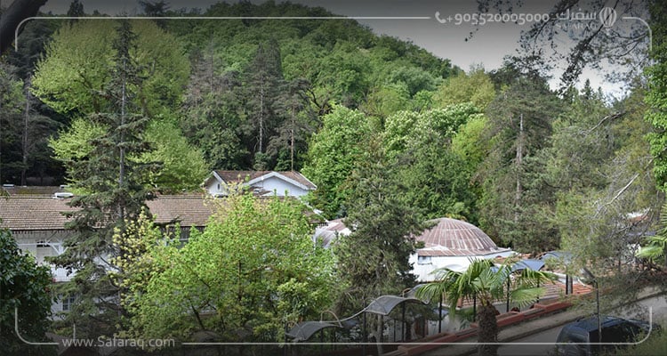 أماكن سياحية وطبيعية لزيارتها أثناء رحلتك إلى يلوا