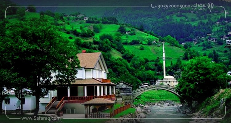 أنشطة السياحية للقيام بها في جولة آيدر