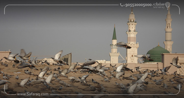 حجز أفضل الفنادق في مكة والمدينة والقريبة من الحرمين