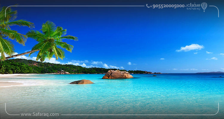 Agences de voyage spécialisées