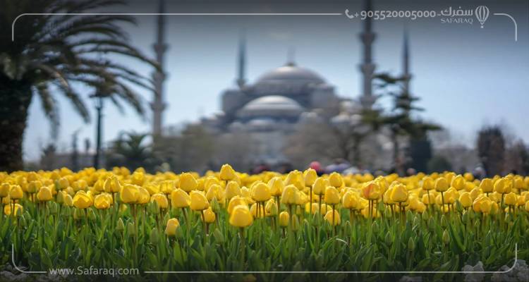 Istanbul Tulip Festival