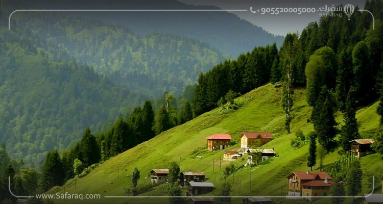 مرتفعات حيدر نبي