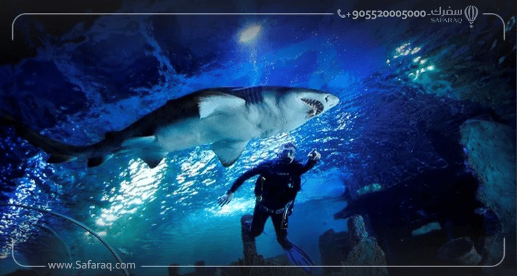 الأكواريوم في مول فورم اسطنبول