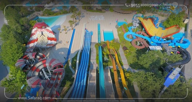 أهم الأنشطة السياحية في أكوا دولفين إسطنبول