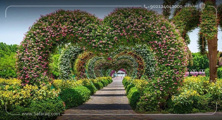 حديقة الزهور