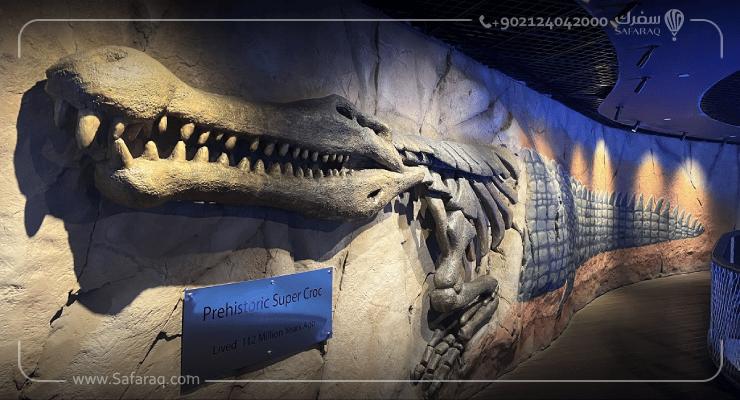 أكواريوم دبي