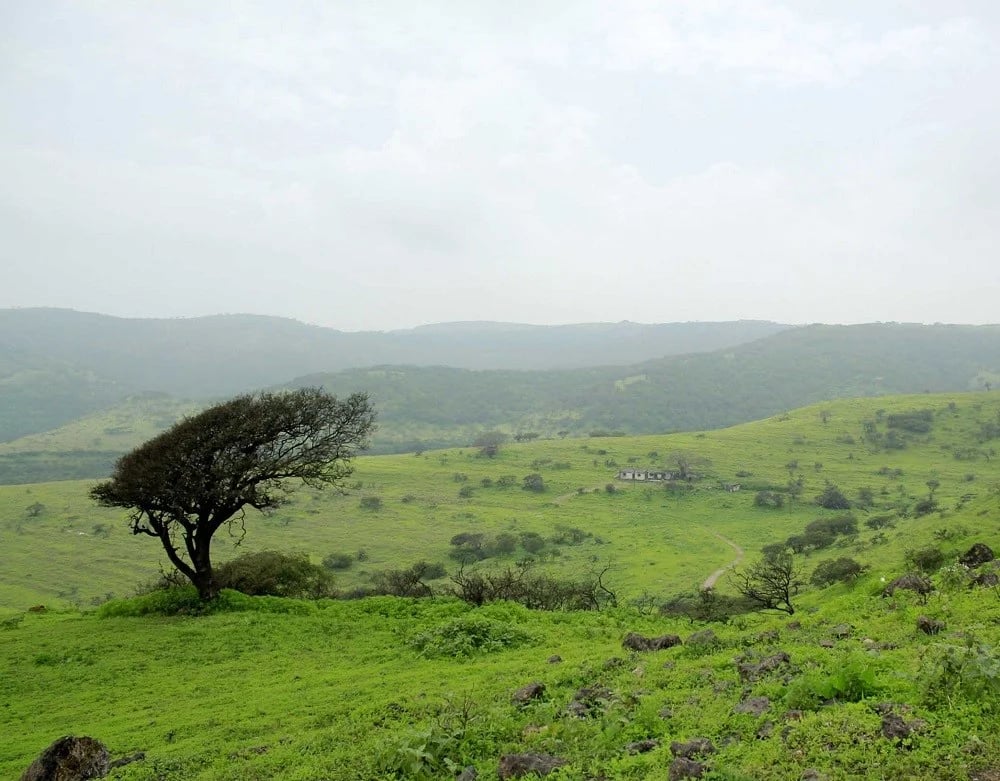 سهل أتين في سلطنة عمان