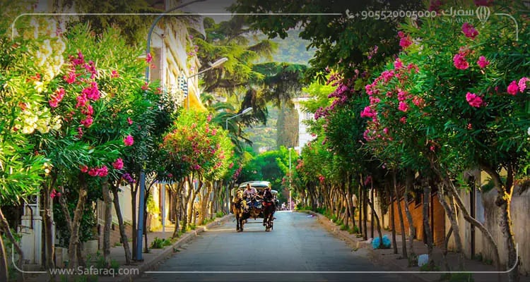 princes islands in Istanbul