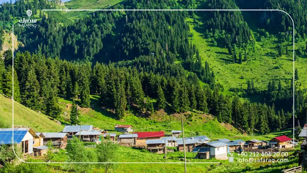 Haider Nabi Heights