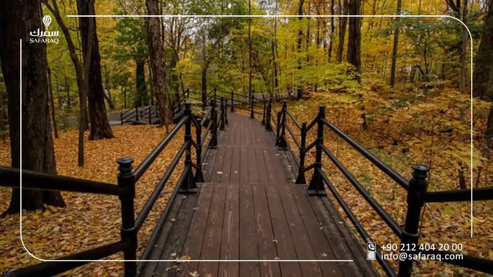 حديقة مودانيا