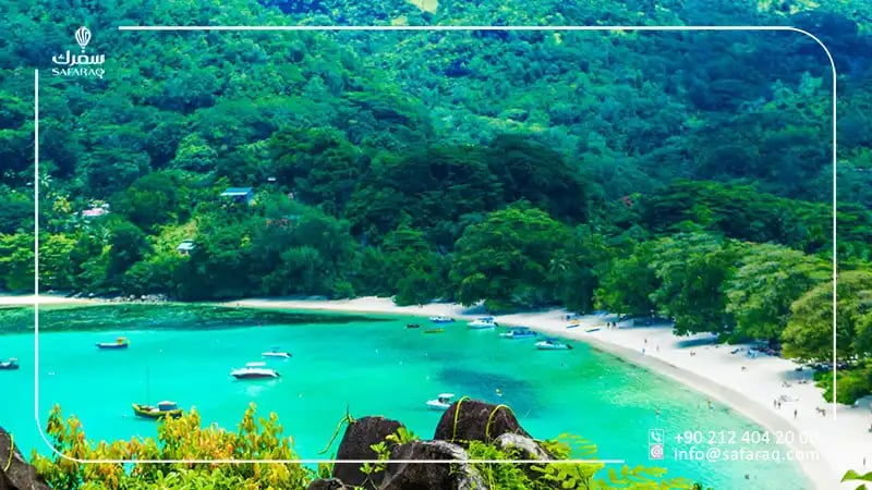 الشاطئ الجميل لجزيرة سيشل