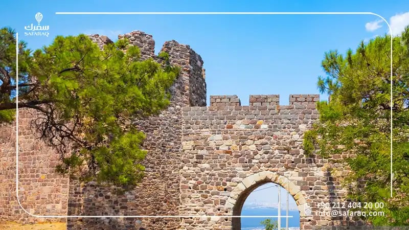 كاديفي كالي