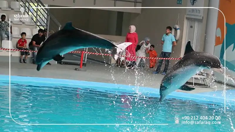 Istanbul Dolphinarium