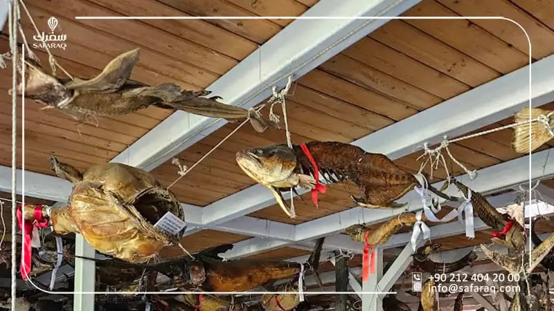 Turkey Museum of Marine Life